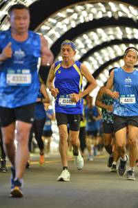 BIB: 43311, 41445, 44191
                            <button type="button" onclick="openModal(20116614)" class="btn btn-primary btn-sm float-right btn-popup" data-toggle="modal" data-target=".modal-high-quality">
                        <i class="fas fa-shopping-cart"></i> Add to Cart
                    </button>
                                            <button type="button" onclick="isThisMe(20116614, true)" class="btn btn-success btn-sm float-right btn-popup btn-isme hidden" data-toggle="tooltip" data-placement="bottom" title="นี่คือรูปของคุณใช่ไหม คลิกที่นี่เพื่อเอาเข้าอัลบั้ม">
                        <i class="fas fa-plus"></i> Add to album
                    </button>
                    <button type="button" onclick="isThisMe(20116614, false)" class="btn btn-warning btn-sm float-right btn-popup btn-isnotme hidden">
                        <i class="fas fa-ban"></i> Remove from album
                    </button>